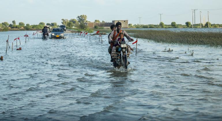 مياه الفيضانات في منطقة أوميركوت، مقاطعة السند، باكستان.